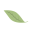 Favicon altervojo.fr